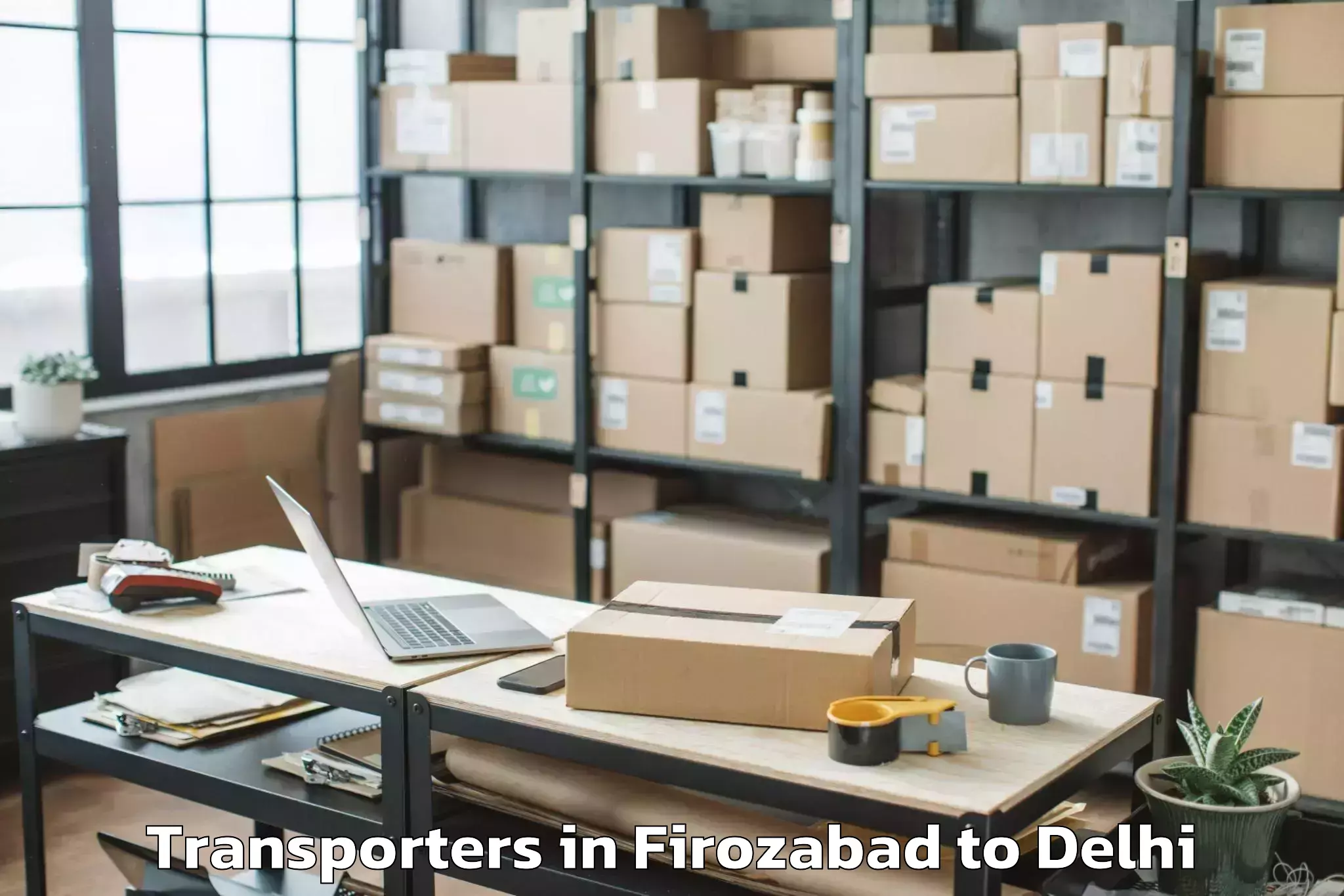 Professional Firozabad to Naraina Industrial Estate Transporters